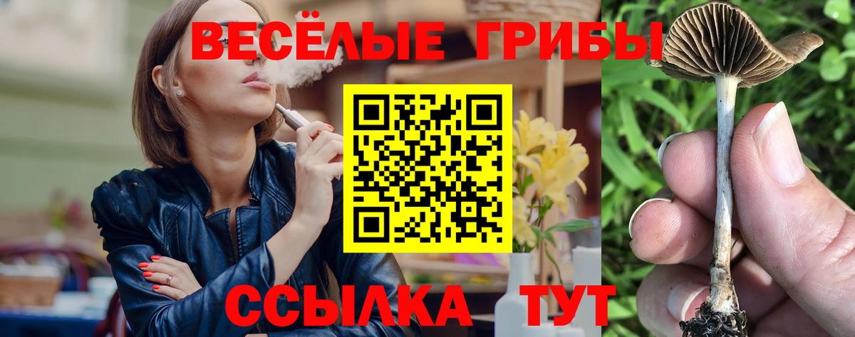 Галлюциногенные грибы Psilocybe  Вход с VPN  Урюпинск 